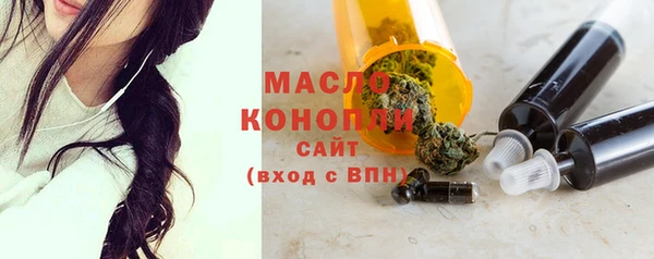 ешки Бородино