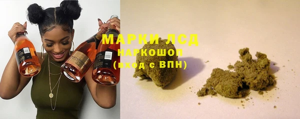 ешки Бородино