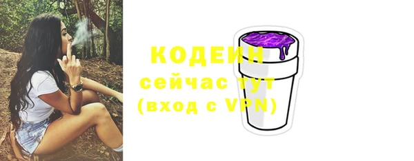 ешки Бородино