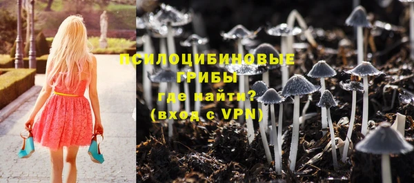 ешки Бородино