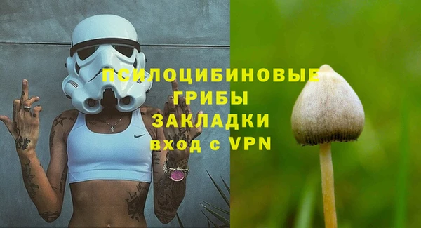 соль ск Бугульма