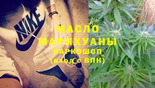 ешки Бородино