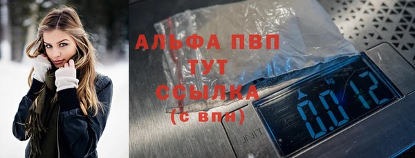 ешки Бородино