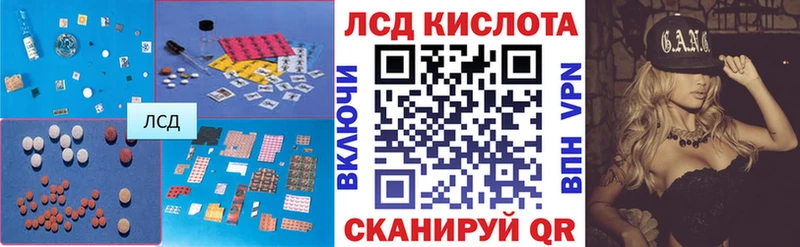 LSD-25 экстази кислота  KRAKEN зеркало  Новодвинск 